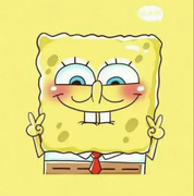 小猫猪皮的个人资料头像