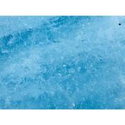 LimeZky的个人资料头像