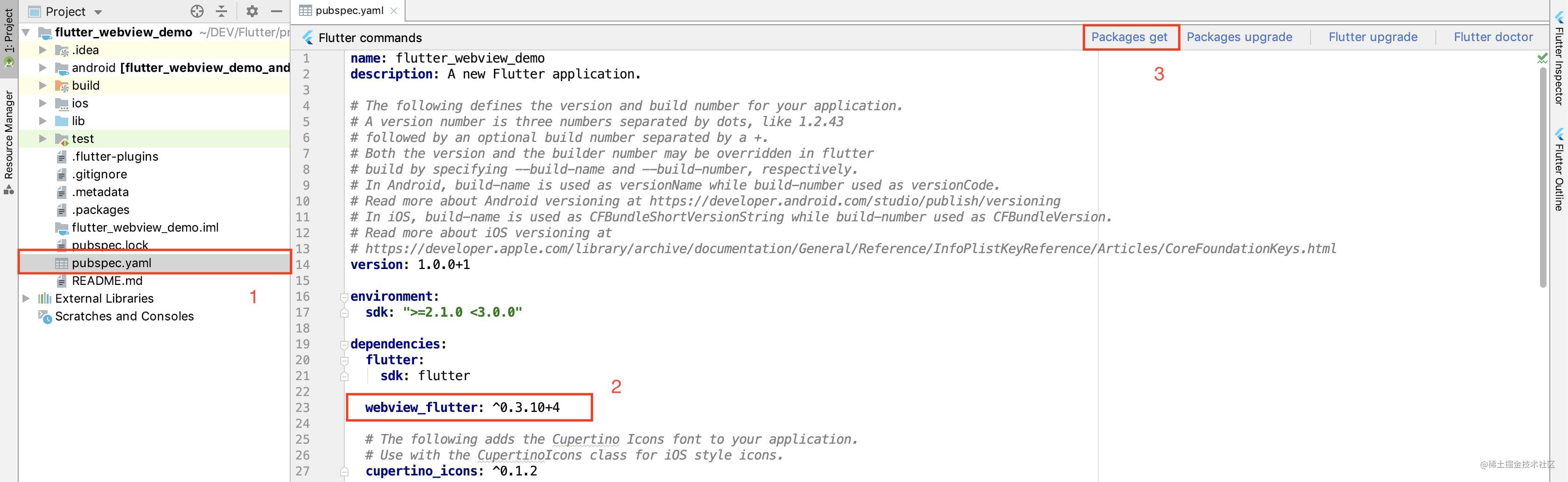 flutter-webview