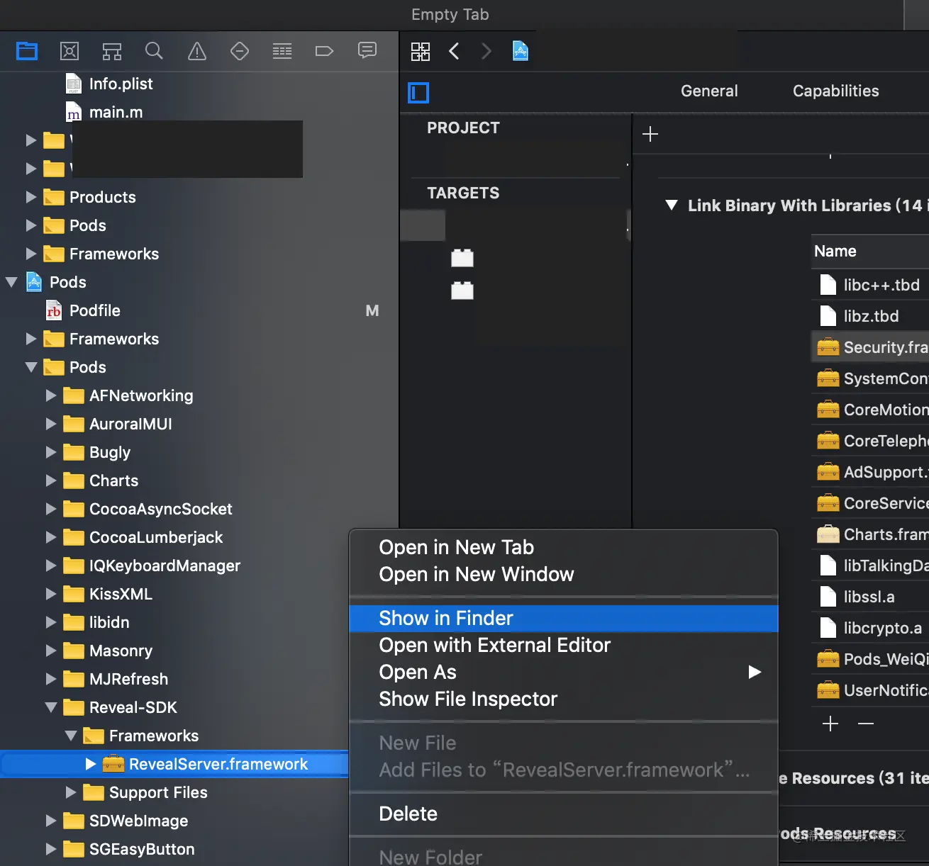 Reveal Framework Show in Finder