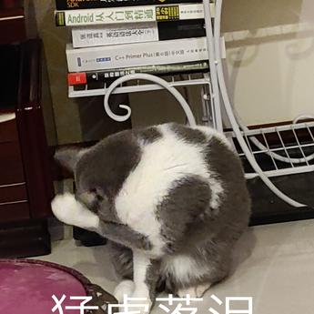 simplepeng于2019-08-08 08:29发布的图片