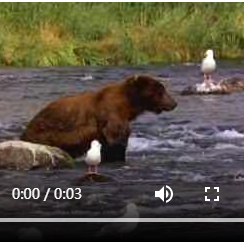 糯糯米于2019-08-08 10:31发布的图片