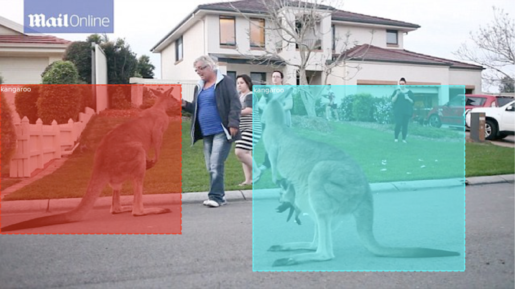 Photograph Showing Object Detection Masks, Bounding Boxes, and Class Labels