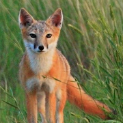 AlexIncredible的个人资料头像