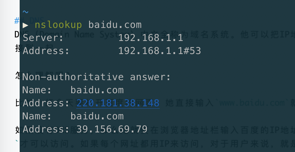 nslookup