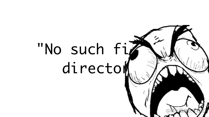 No such file or directory