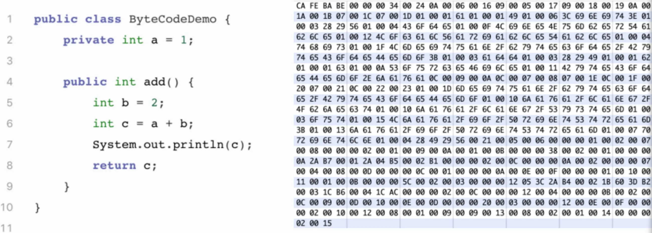 图2 示例代码（左侧）及对应的字节码（右侧）