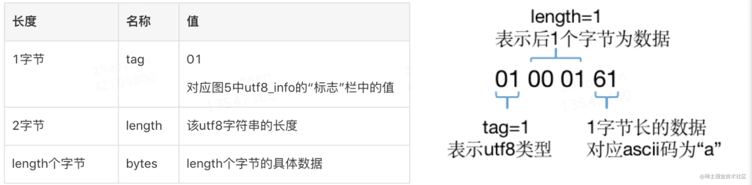 图7 CONSTANT_utf8_info的结构（左）及示例（右）