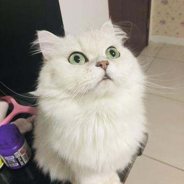 Monkeybro于2019-09-10 15:40发布的图片