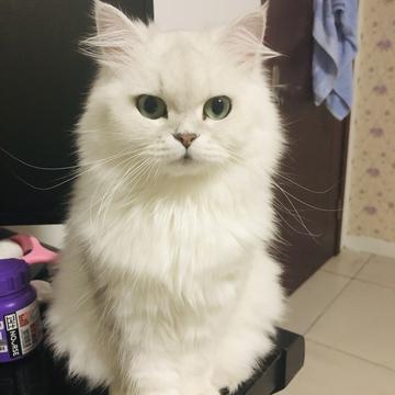 Monkeybro于2019-09-10 15:40发布的图片
