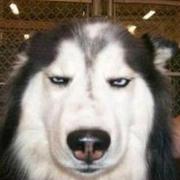 一十三的个人资料头像