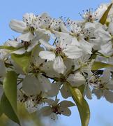 challenger0119的个人资料头像