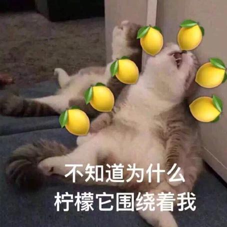 前端劝退师于2019-09-12 13:12发布的图片