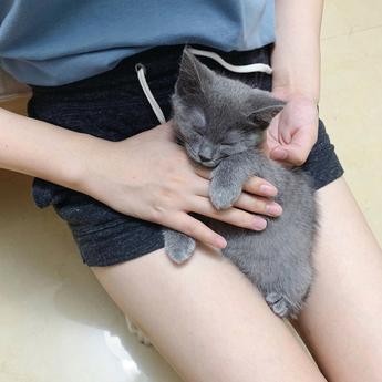 小喵咪于2019-09-12 14:27发布的图片