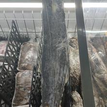 疏雨时晴于2019-09-12 19:56发布的图片