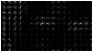 “ZAO”凉凉！教你用Deepfakes换脸