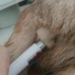 我只有三块钱于2019-09-13 15:42发布的图片