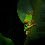 索儿呀的个人资料头像