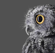 MoonGong103875的个人资料头像