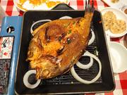 菠萝回音岛的个人资料头像