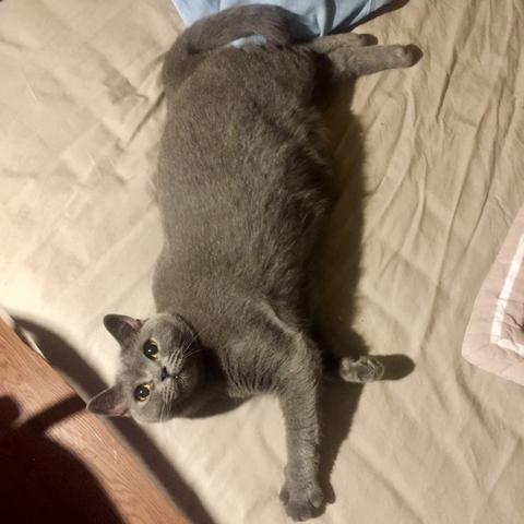 不二哦于2019-09-18 00:19发布的图片