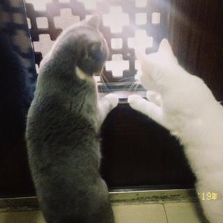 arieslx于2019-09-18 10:27发布的图片