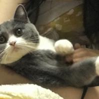 arieslx于2019-09-18 10:27发布的图片