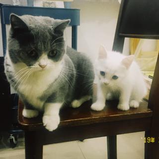 arieslx于2019-09-18 10:27发布的图片