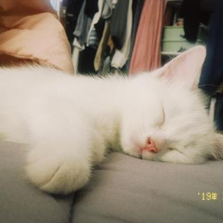 arieslx于2019-09-18 10:27发布的图片