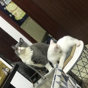 arieslx于2019-09-18 10:27发布的图片