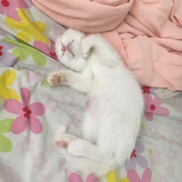 arieslx于2019-09-18 10:27发布的图片