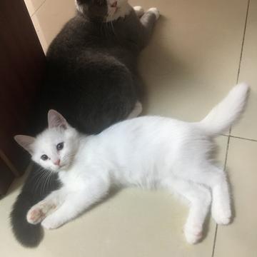 arieslx于2019-09-18 10:27发布的图片