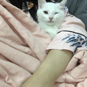 arieslx于2019-09-18 10:27发布的图片