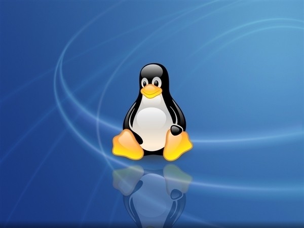 Linux Bash编程基础 掘金