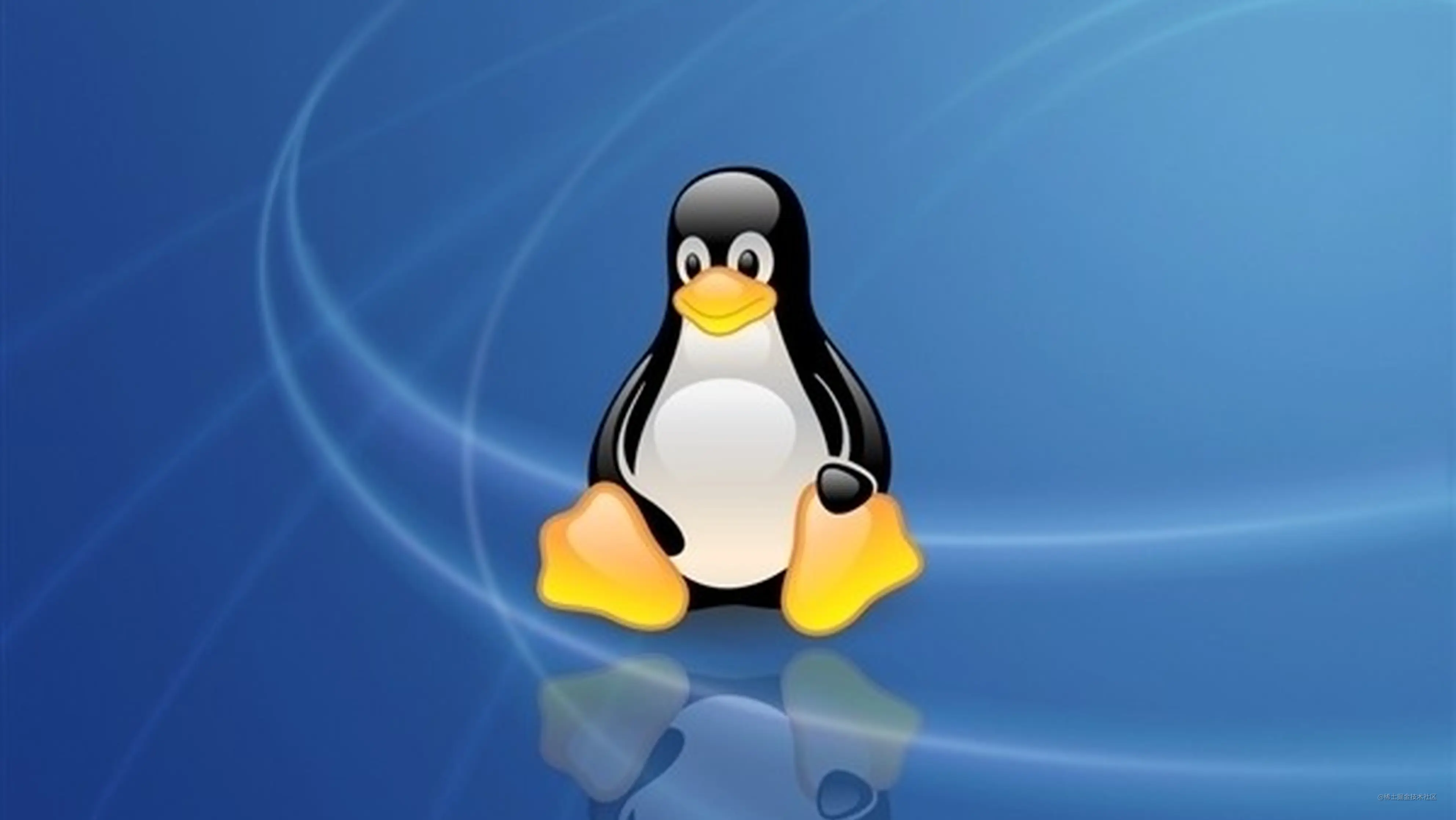 Linux Bash编程基础 掘金