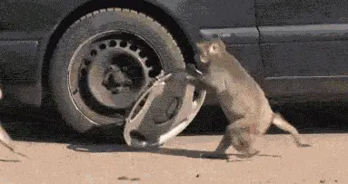 Python2大限将至，2020元旦起官方不再维护（附升级迁移指南）