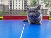 沙帆的个人资料头像