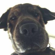 你的呀的个人资料头像