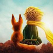 mapleliu的个人资料头像