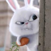 34663的个人资料头像