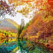 aihaoz的个人资料头像