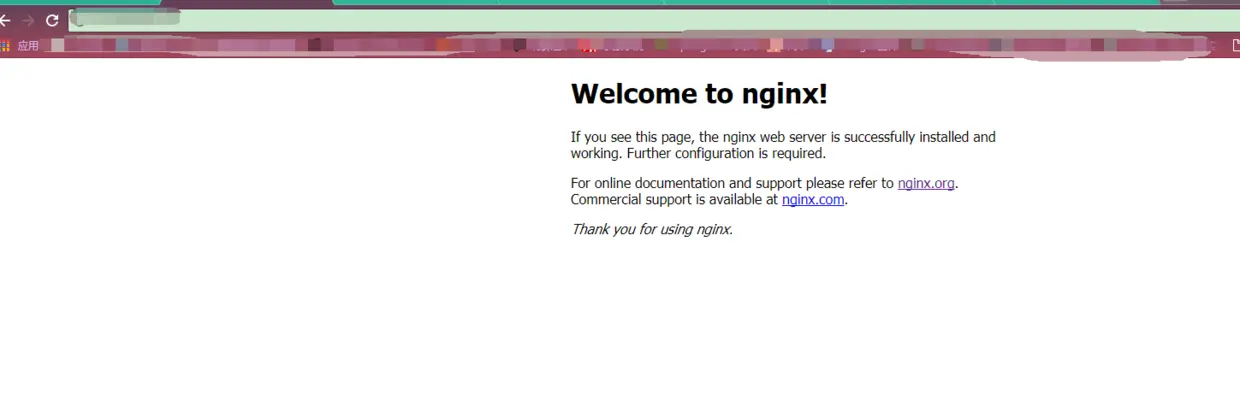 Niginx启动成功截图