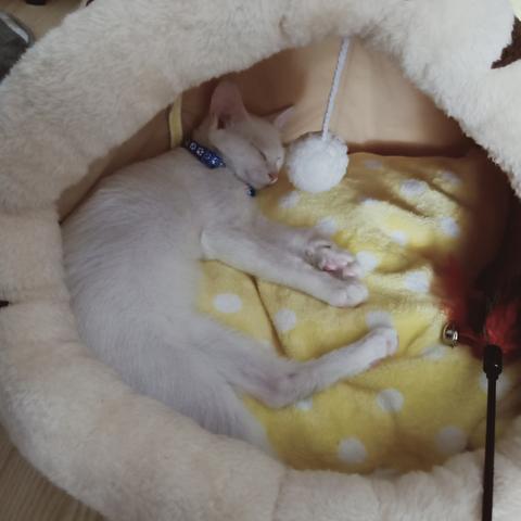 1568692443870于2019-09-02 11:26发布的图片