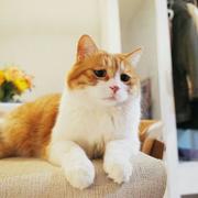 阿茗的个人资料头像