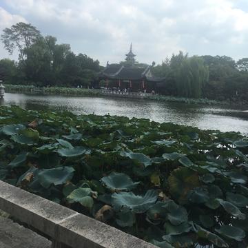 fan189150于2019-09-02 19:54发布的图片