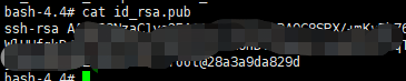 cat id_rsa.pub