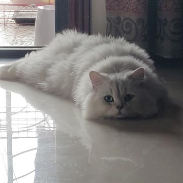 simplepeng于2019-09-20 18:37发布的图片