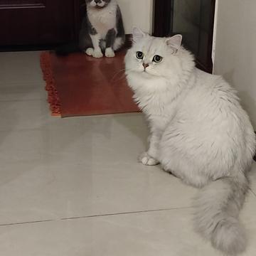 simplepeng于2019-09-20 18:37发布的图片