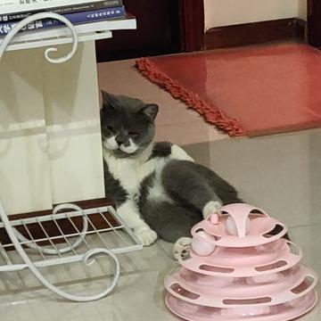 simplepeng于2019-09-20 18:37发布的图片