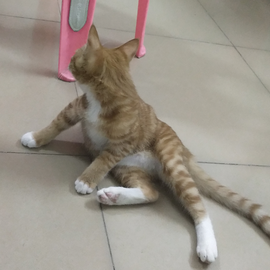 喝水只喝可乐于2019-09-20 19:04发布的图片